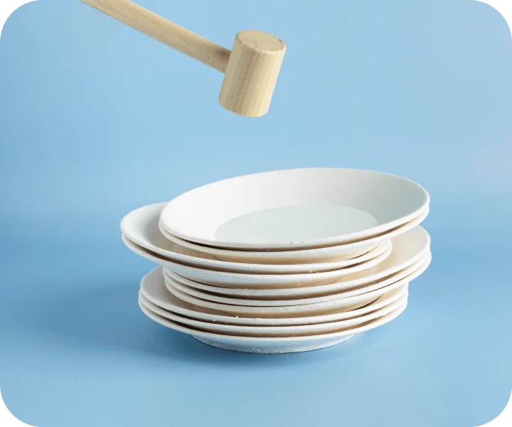 THE STARTER SMASH KIT (10 plates)